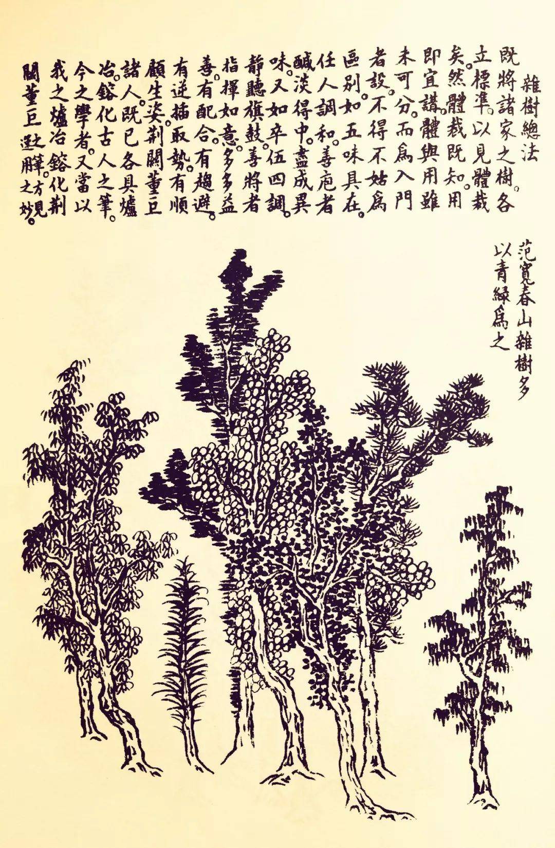 芥子园树谱高清欣赏,经典临摹素材