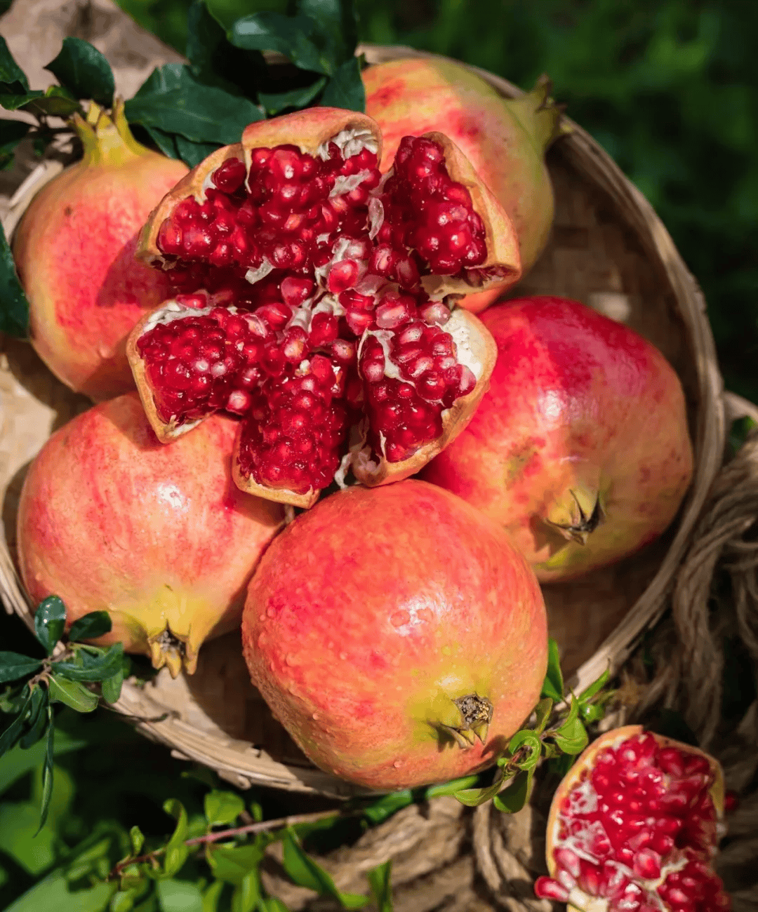 产地食材 ▎不用吐籽的突尼斯软籽石榴,粒粒爆汁,鲜嫩甘甜