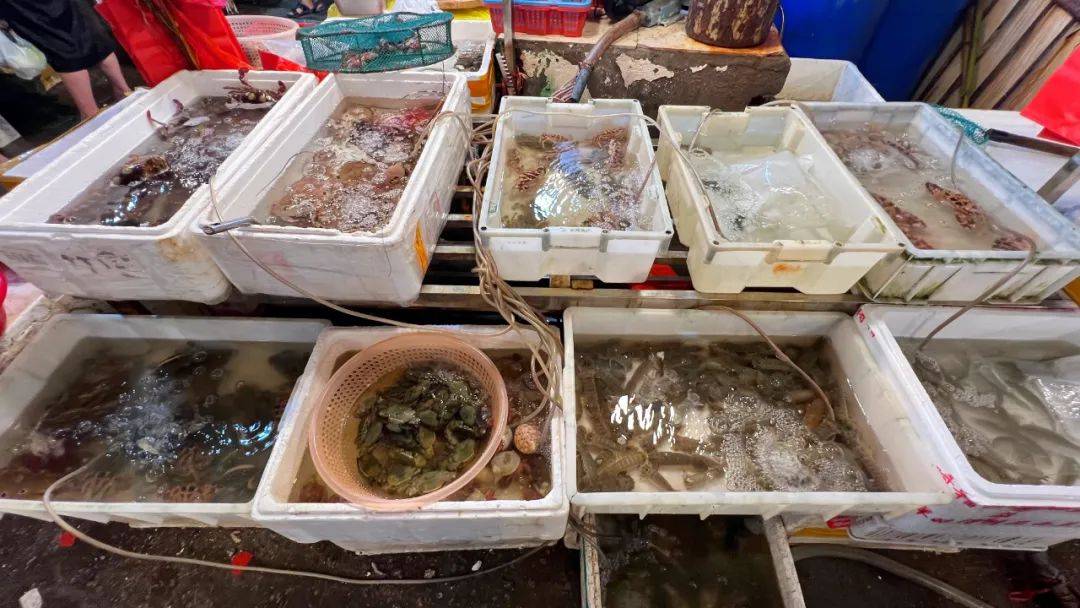来东山岛买海鲜,最值得去的菜市场都在这儿了!