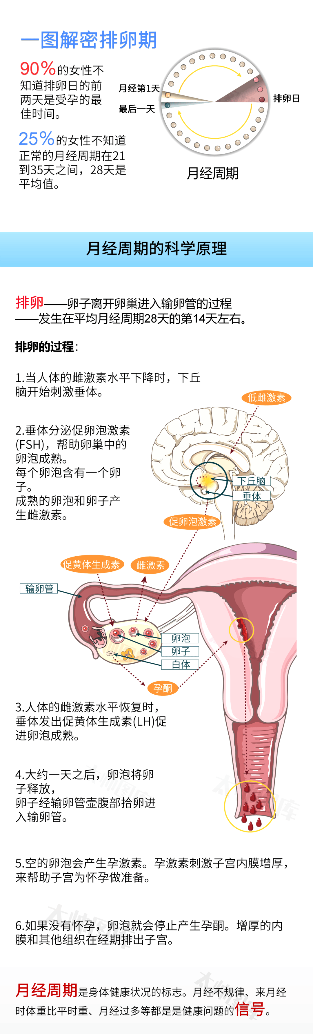 这才是排卵期的信号