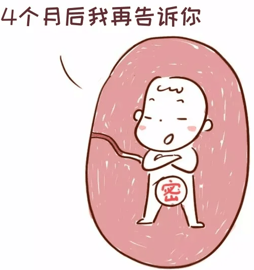 揭秘胎儿性别:是受精瞬间已定,还是成长路上的惊喜?