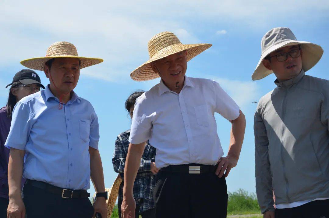 南京农业大学镇赉盐碱地改良与培肥试验站揭牌