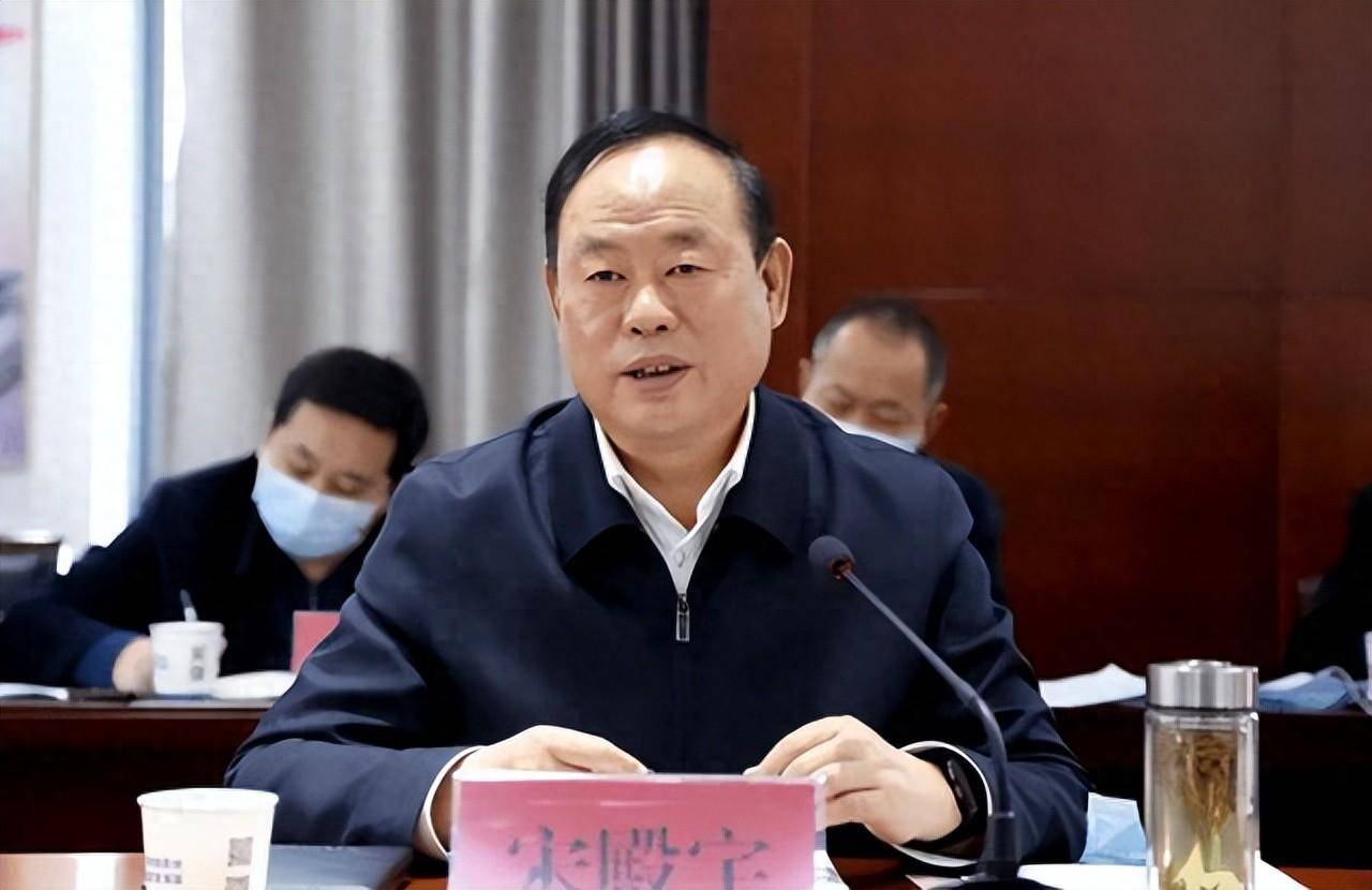 宋殿宇被查,曾任市委书记,市长