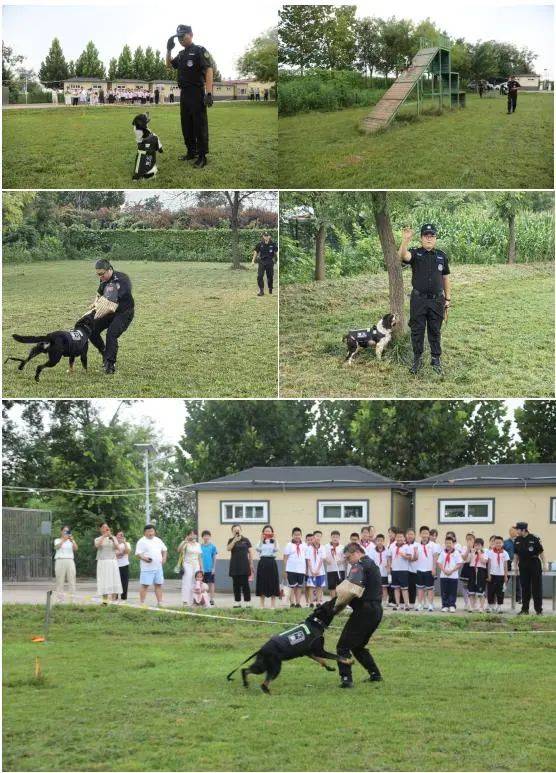 警犬训练基地标语图片