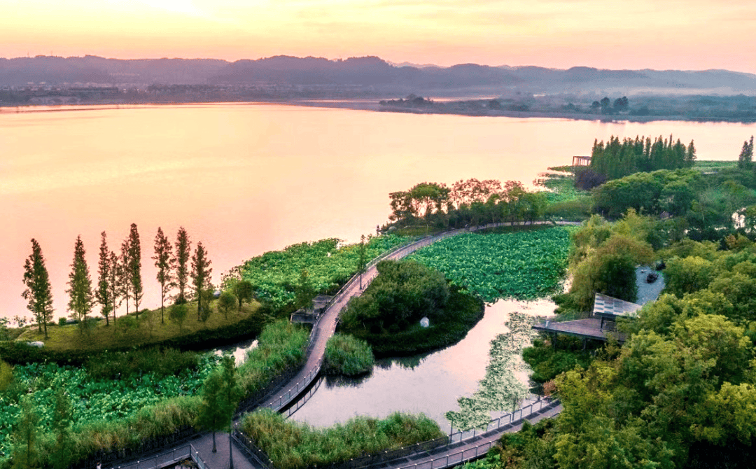 发现·经开 | 一秒心动！ 用《夏夜》邂逅遂宁经开区的浪漫