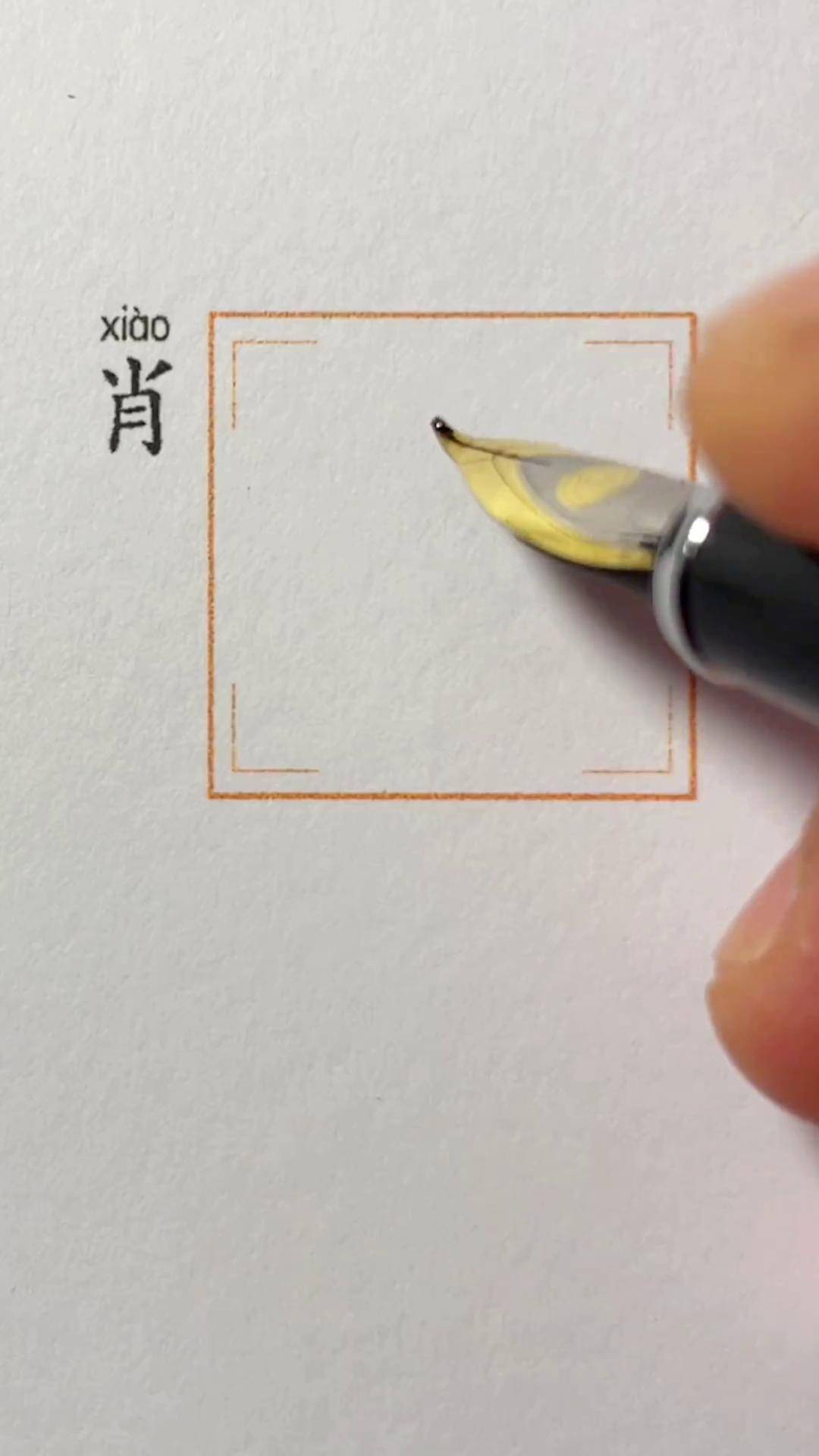 "肖"字的行书写法硬笔书法 手写硬笔 行书