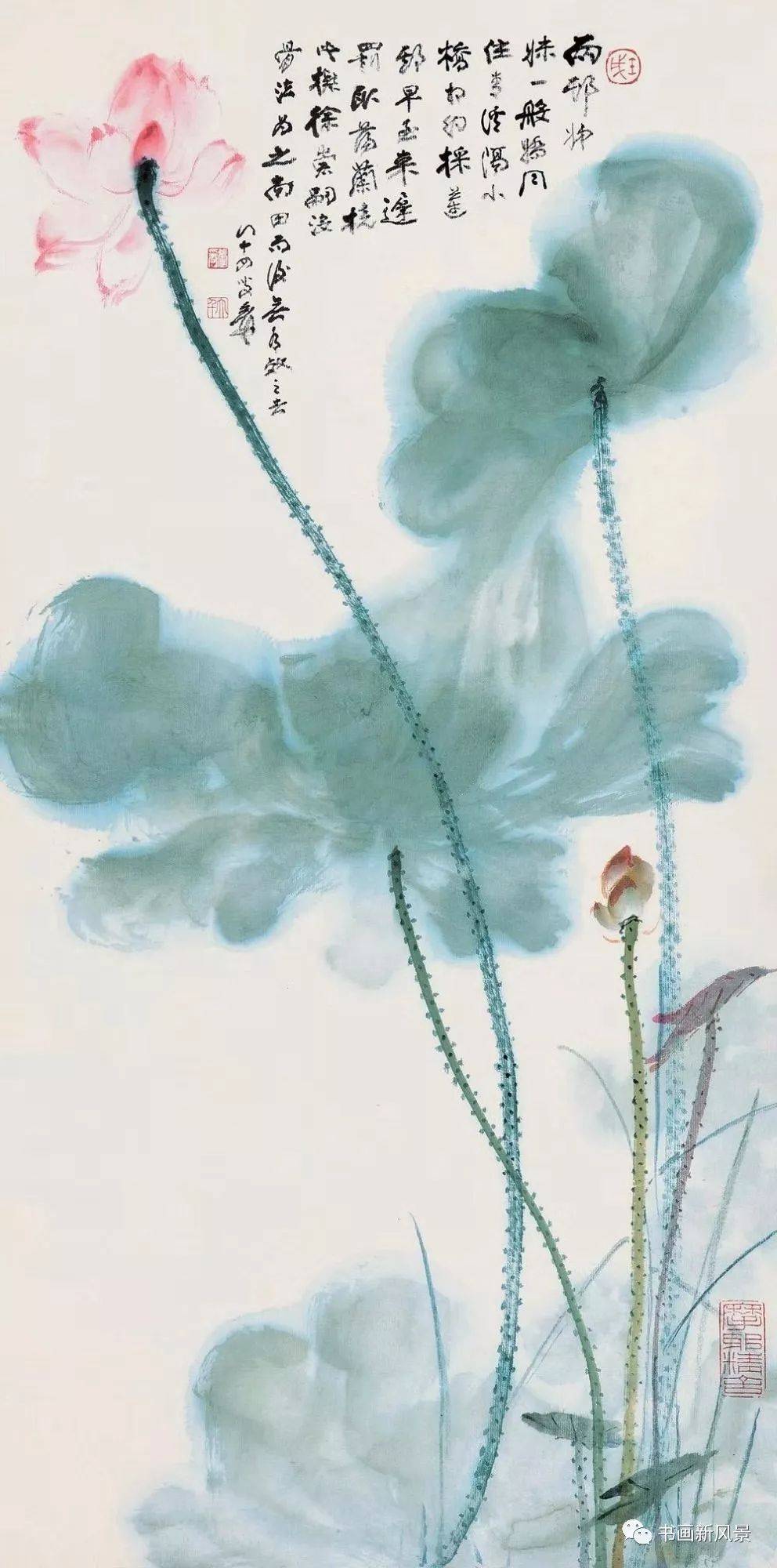 张大千绝美荷花十二幅!