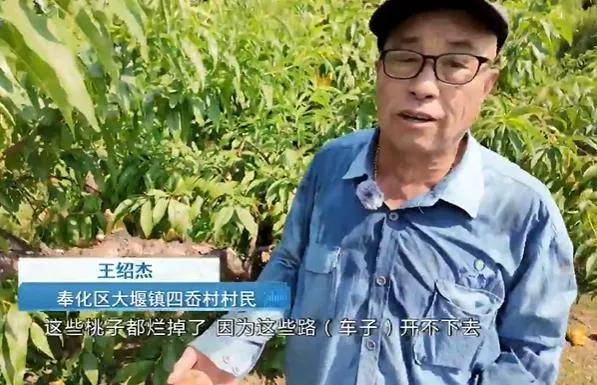 "都烂了,生计没了"!宁波这群人急煞了,辛辛苦苦一年,没想到