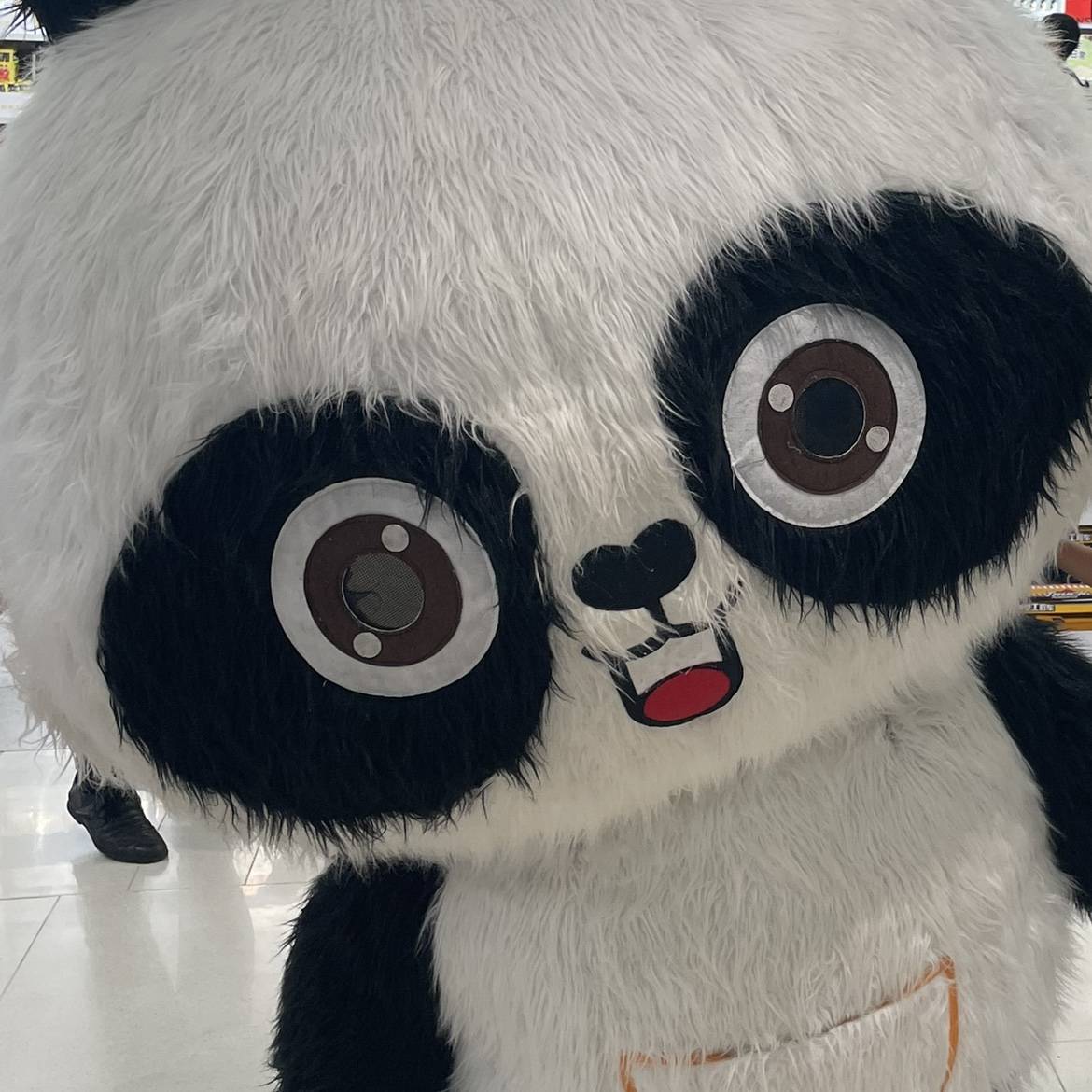 阳光灿烂的