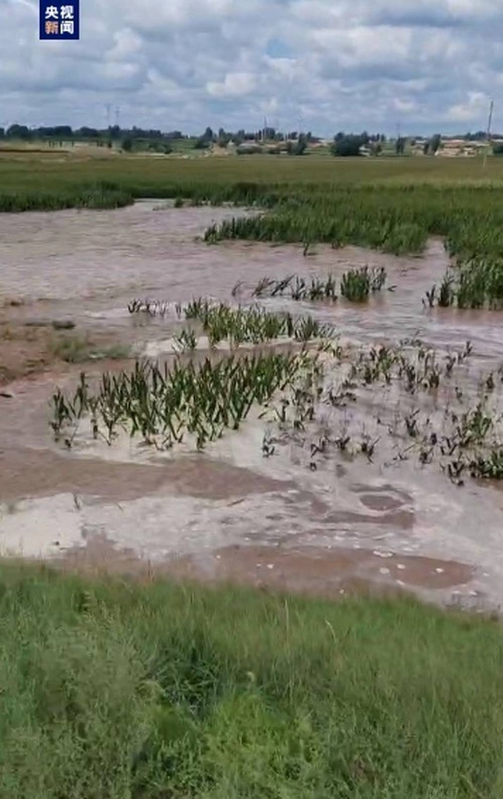 正在救援!内蒙古赤峰老哈河堤防出现10余米溃口