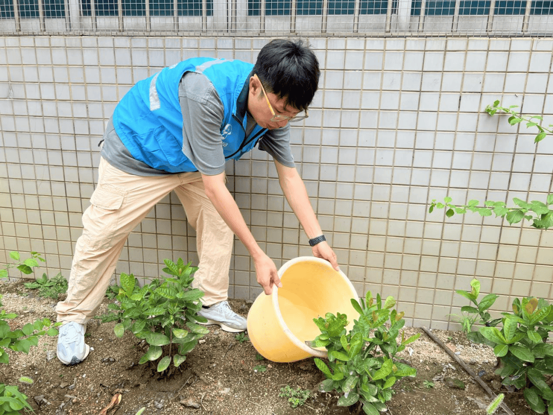 网格蓝为南区充植