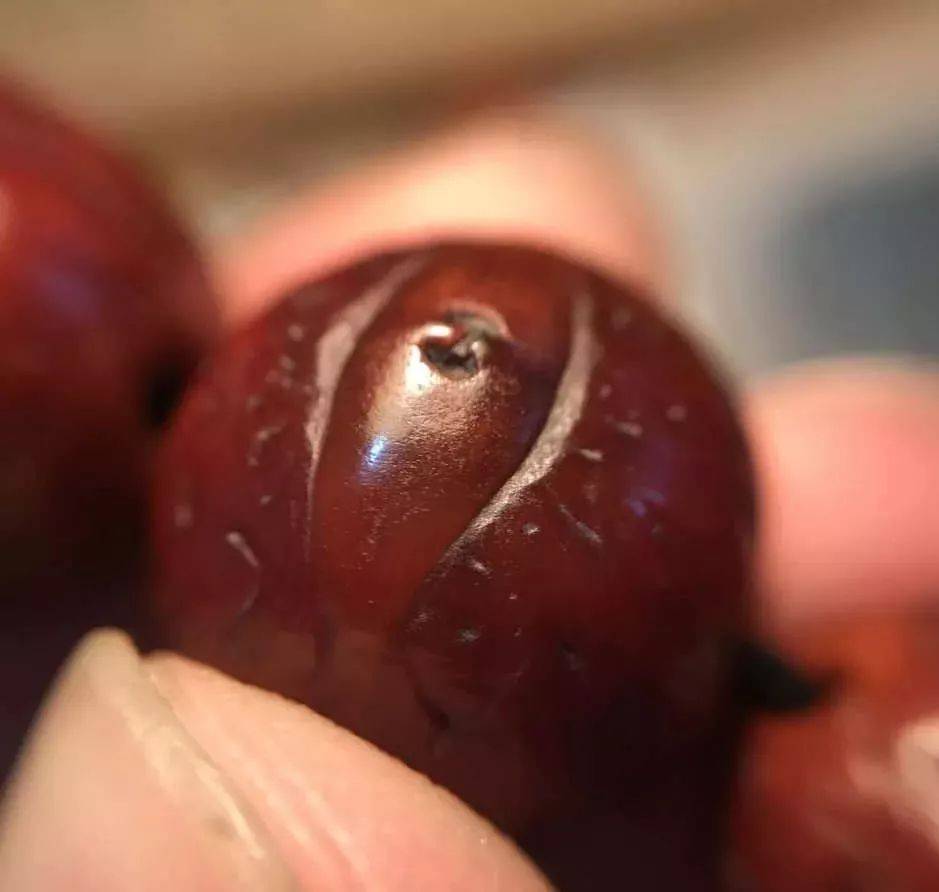 再接下来就是一组单眼凤眼菩提欣赏接着就是唯美的麒麟菩提▼然后自然
