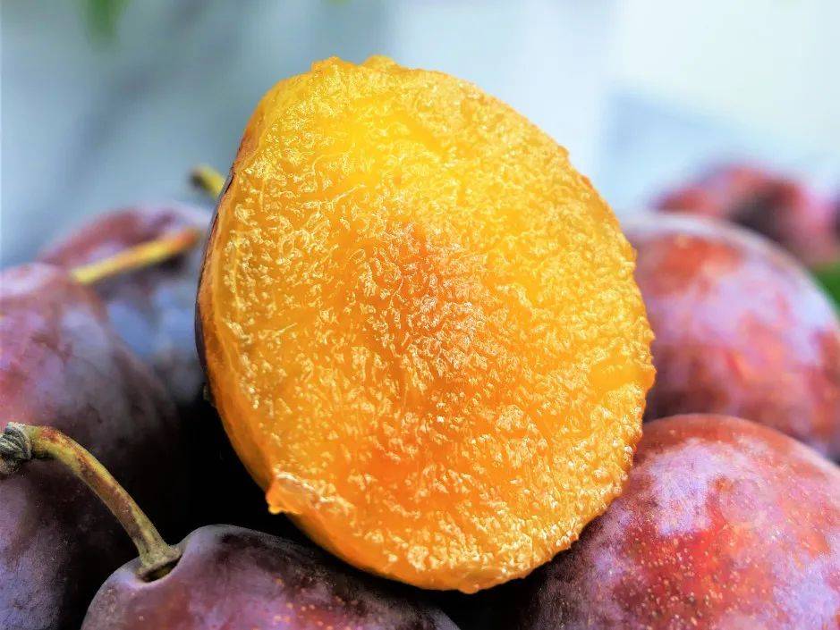 74 这种「奇迹水果」,甜翻中国人的夏天!错过再等一年!