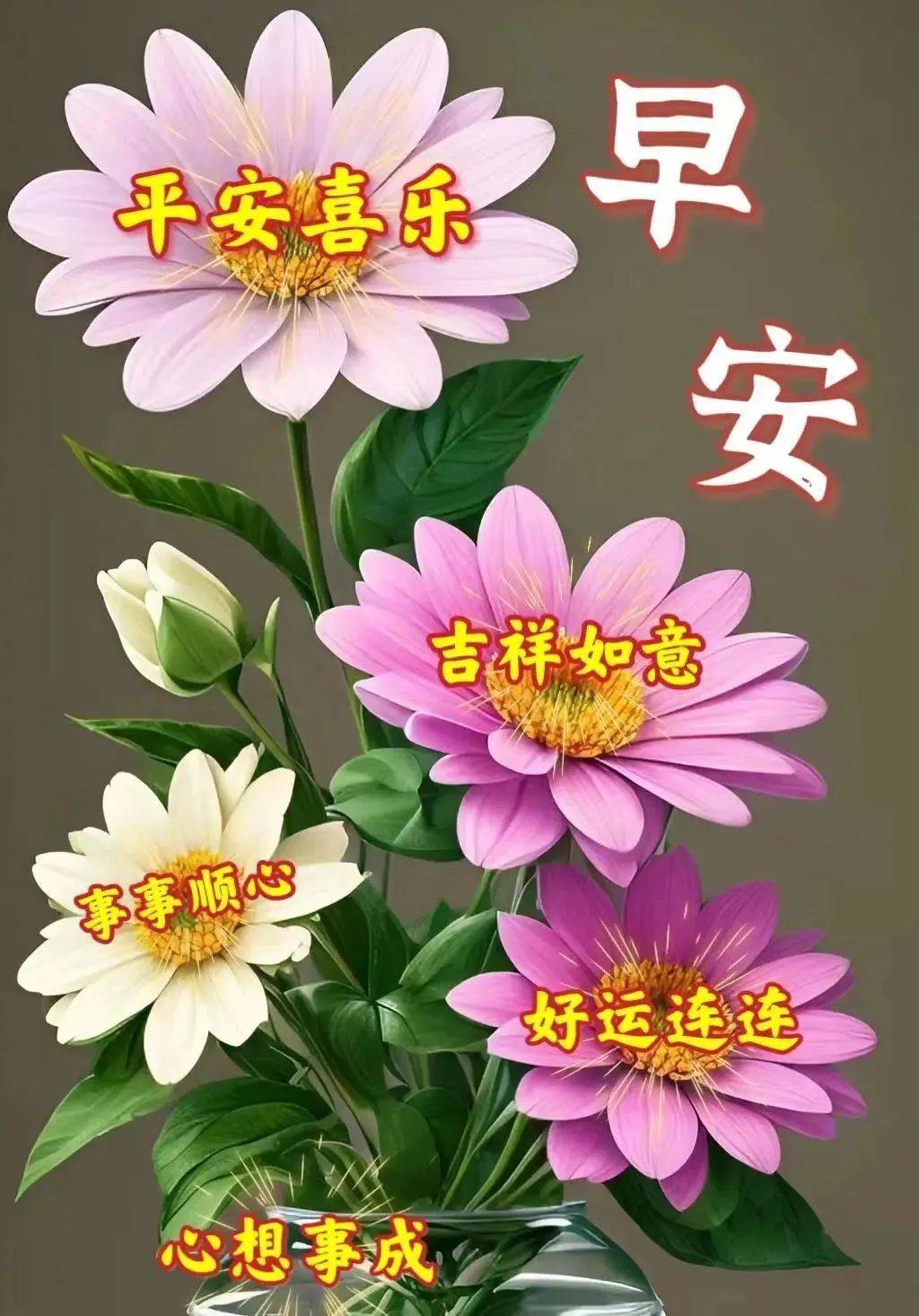 今日最新早上好问候语精选