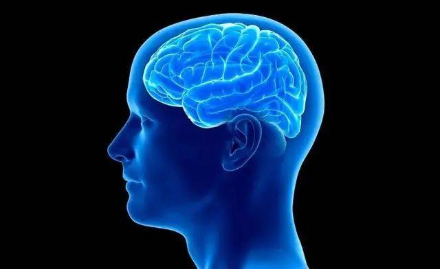 男性器官衰老顺序表已公开，男人不妨了解一下，瞧瞧你在哪个阶段
