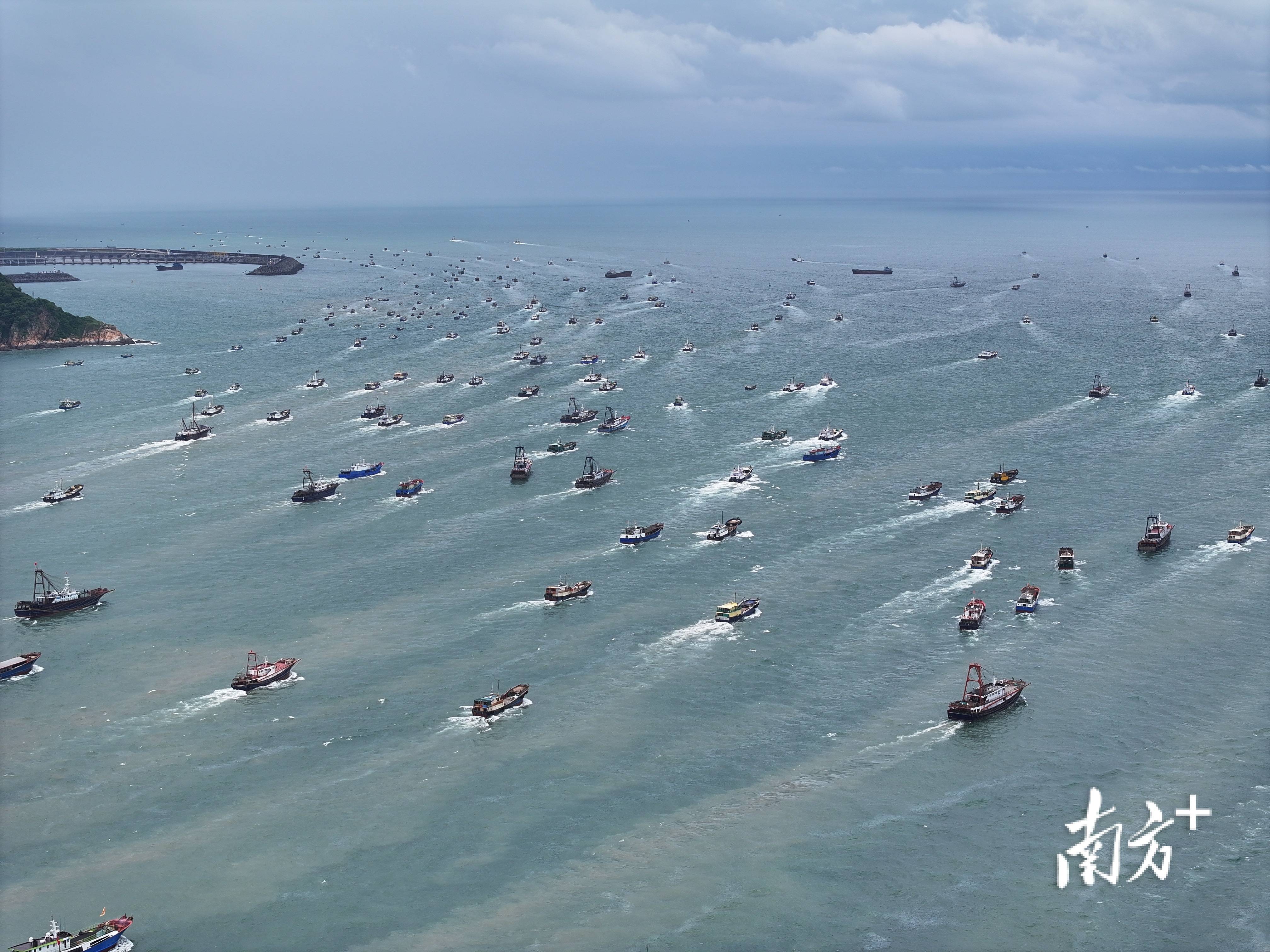 开渔!东平渔港百舸争流的大场面又来啦