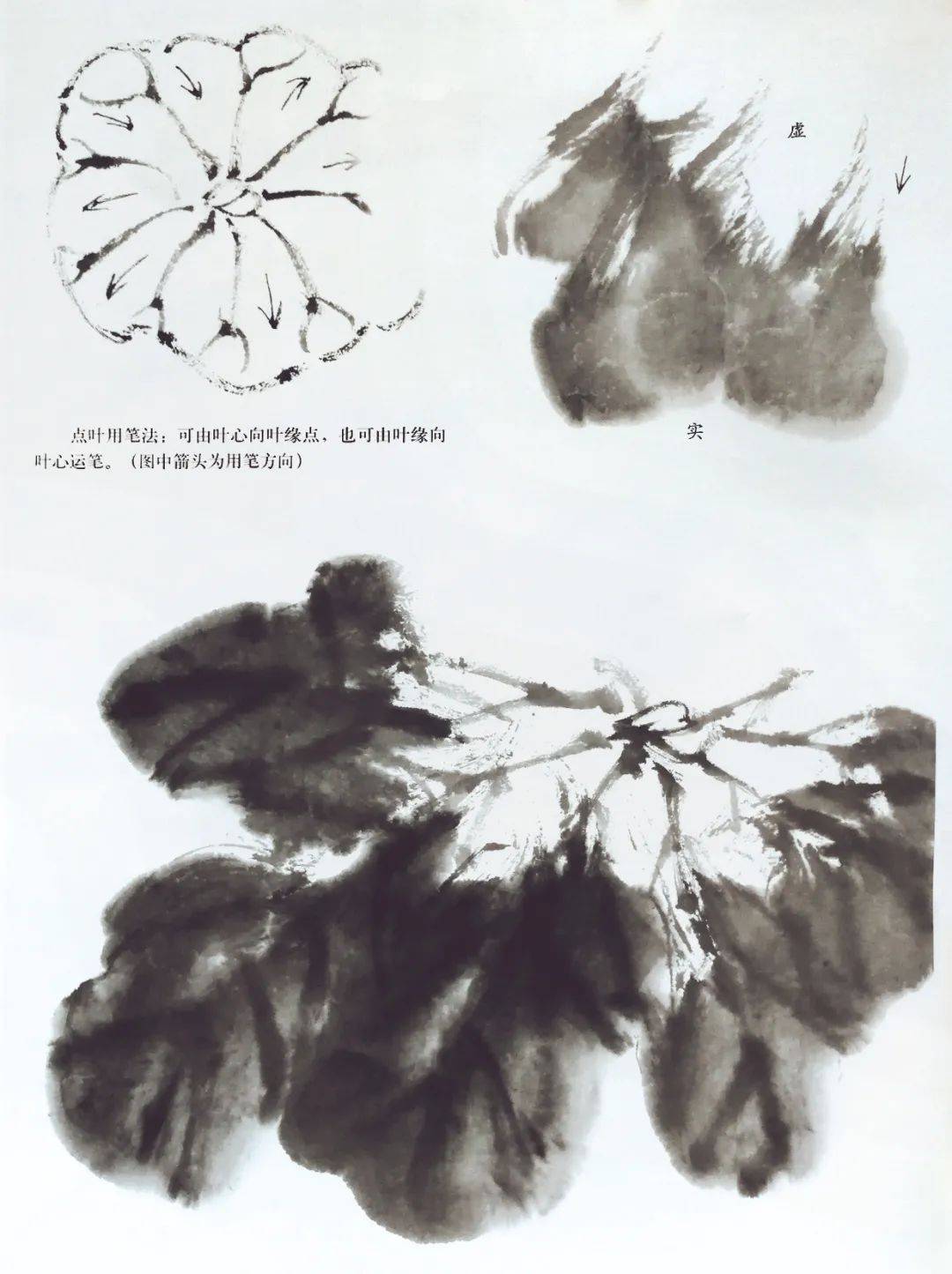 荷叶_步骤_画法