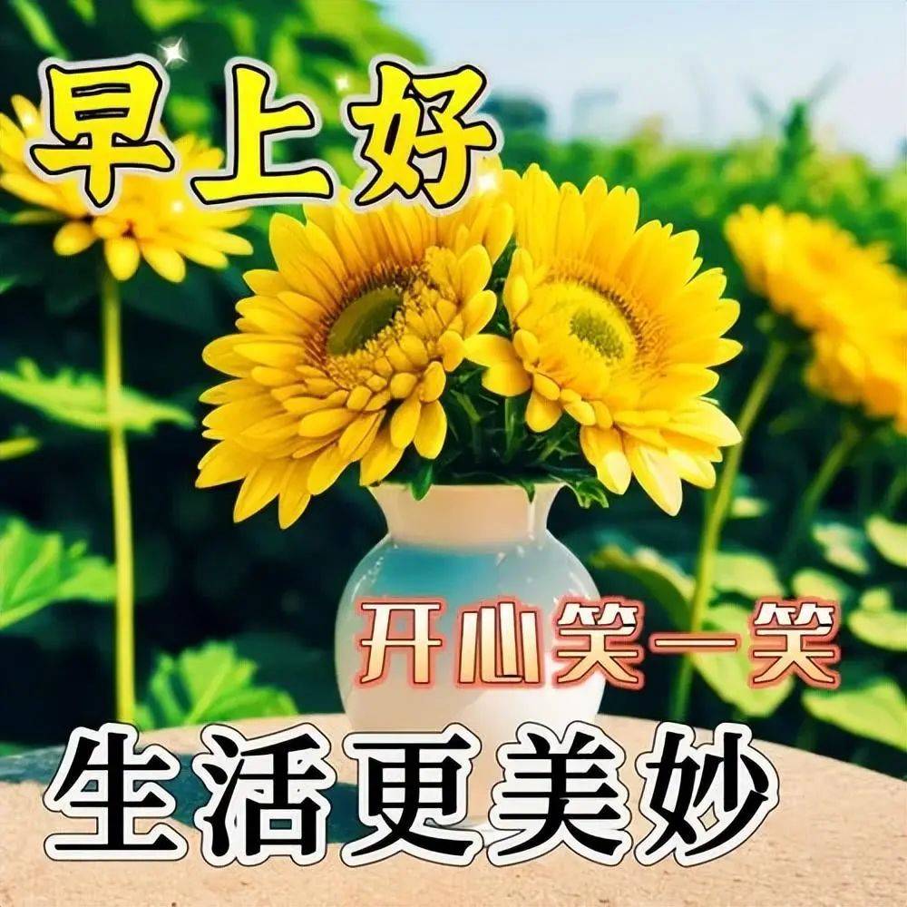 最新中老年早上好表情包,保重身体,健康无价!