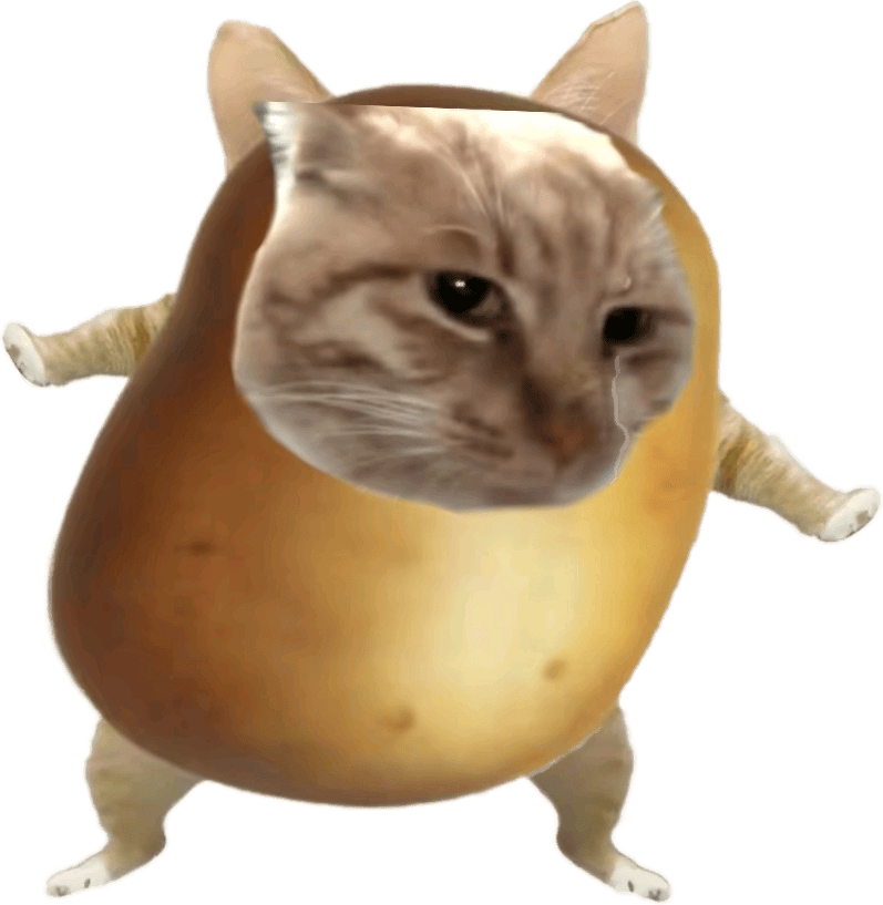 发癫的200张猫meme表情包