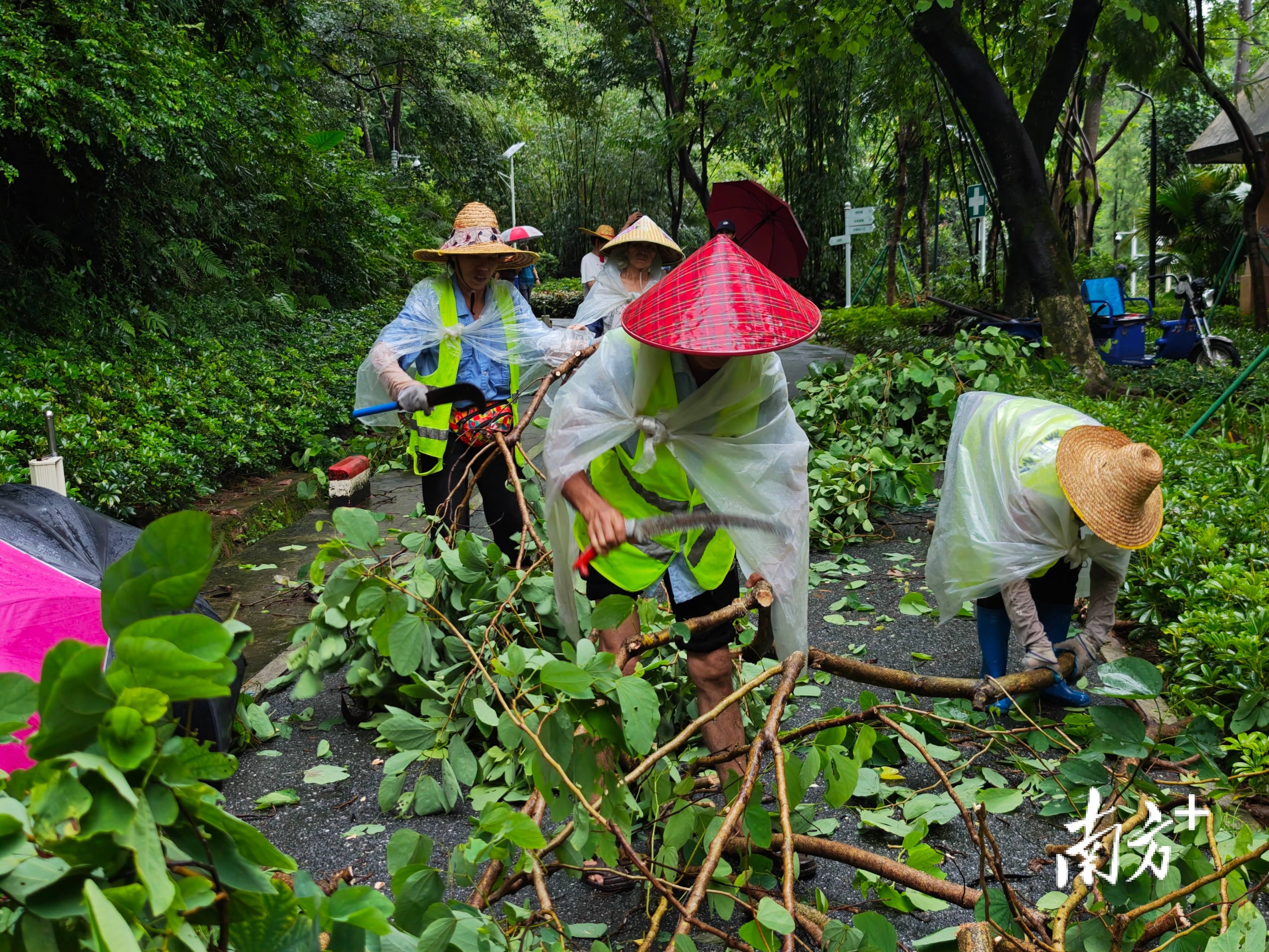 🌸【2O24管家婆一码一肖资料】🌸_外媒：马斯克预测，30年内在火星上肯定会建成一座有人类居住的城市