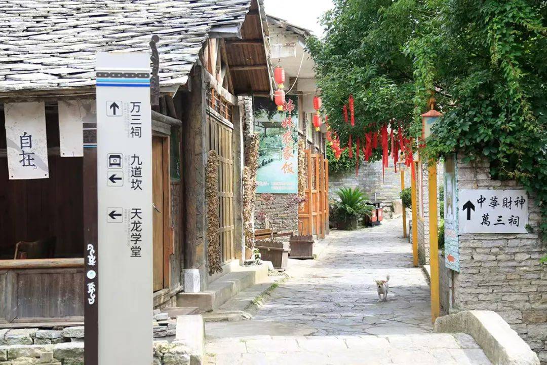 安顺市3景区入选首届"避暑消夏好去处"名录