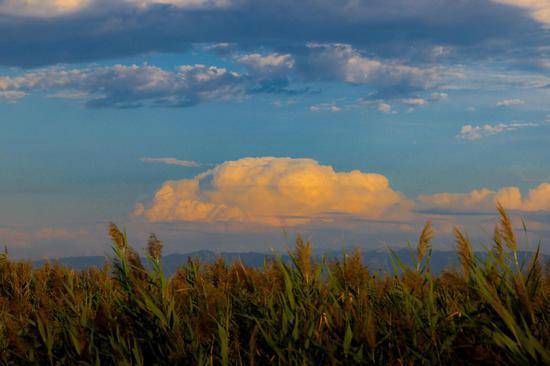 新疆那拉提国家湿地公园:湿地上空邂逅"醉"美晚霞
