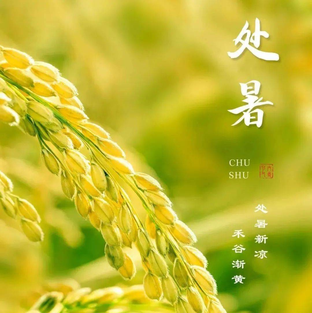处暑到白露出生的人为何盯细节盯到失眠
