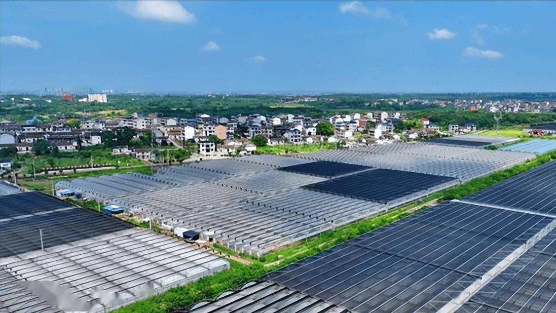 在江西省抚州市东临新区七里岗乡,现代农业正在焕发新生机.