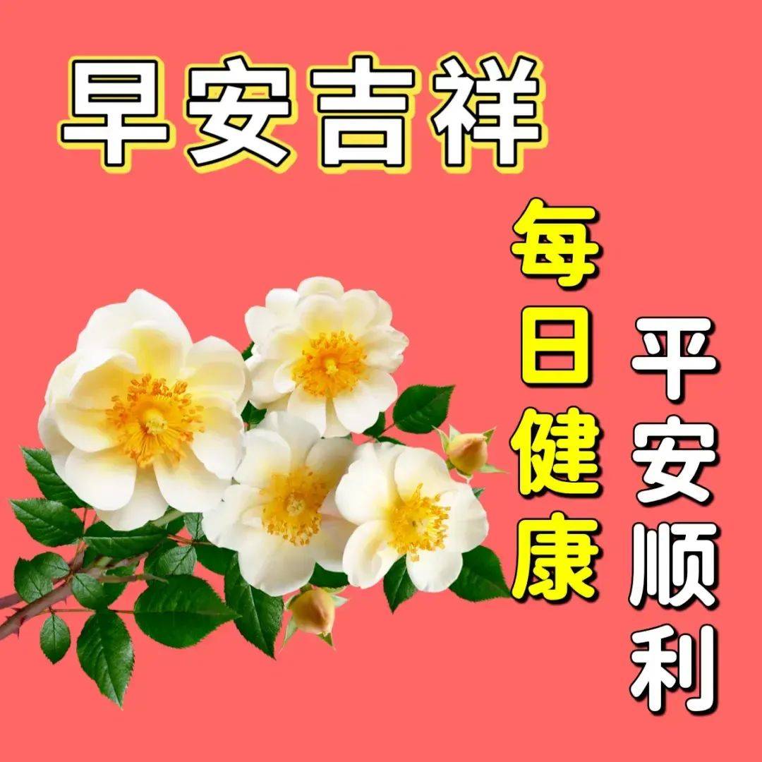 中老年早上好表情包大全