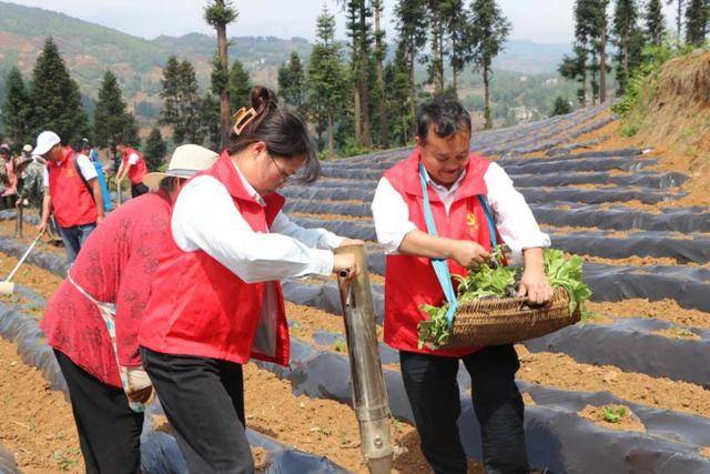 钟山区木果镇:坚持党建引领,以“122工作法”推动基层治理走深走实