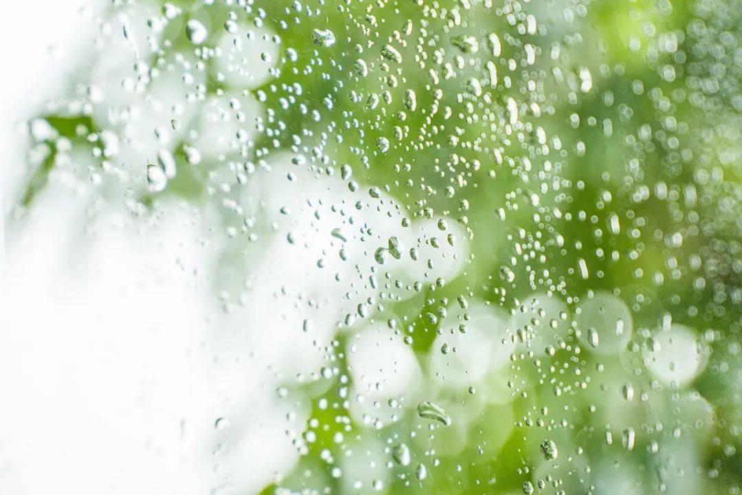 夏雨,落在了晚夜,是宁静西江月·夜行黄沙道中宋·辛弃疾明月别枝惊鹊