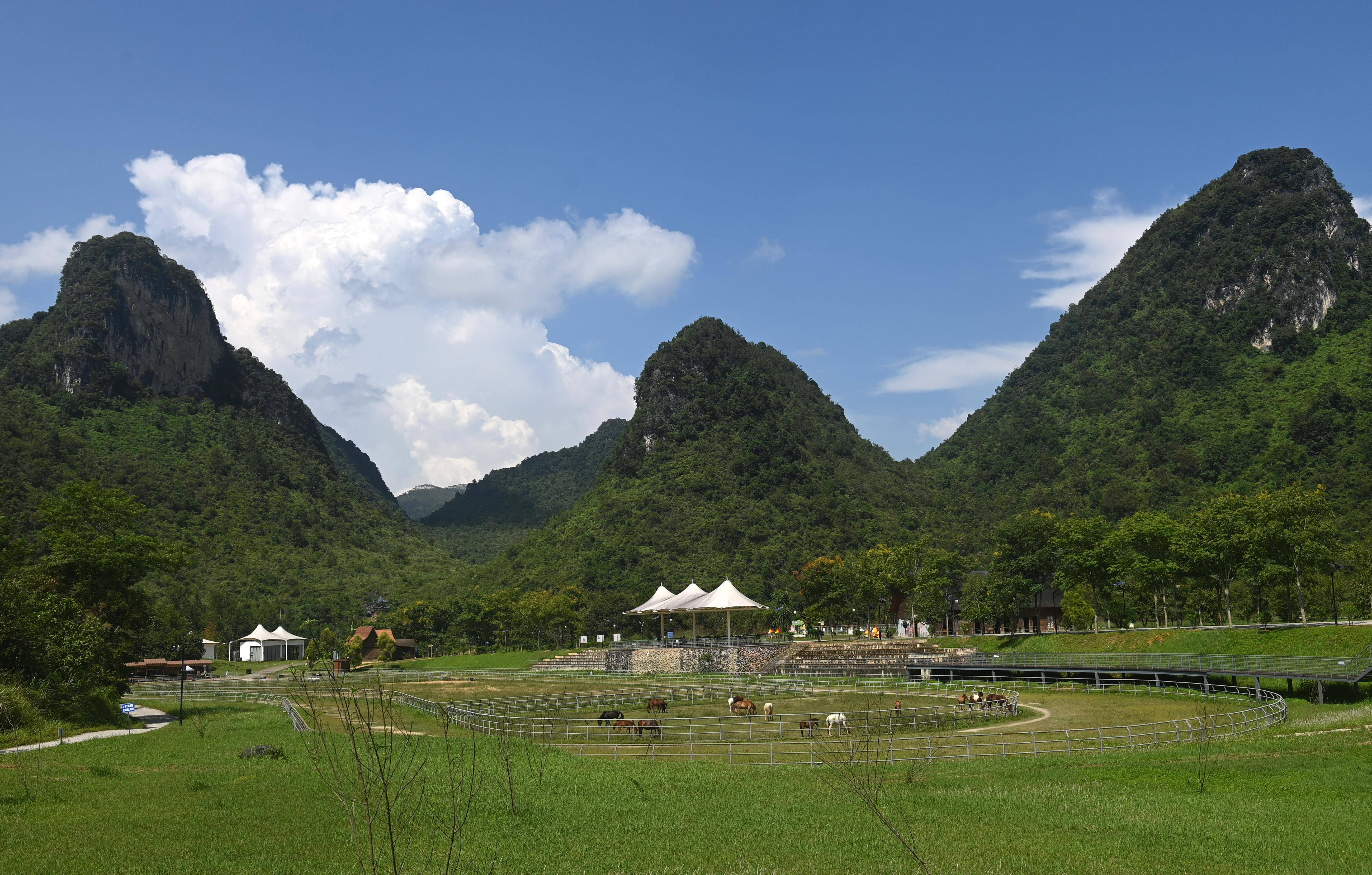 广西德保 古老矮马助推现代旅游业