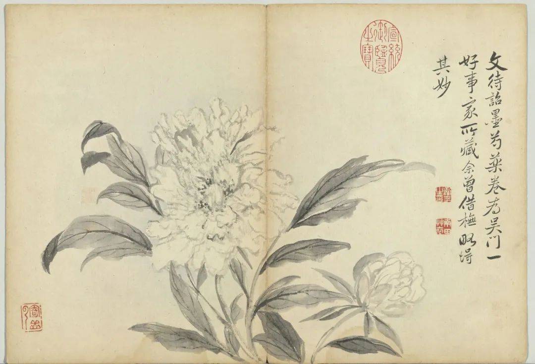 惲 壽平 秋花図（原寸大）水墨画 木製額縁付き　清　中国 二玄社　惲 寿平 惲 壽平 秋花図（原寸大）水墨画 木製額縁付き 清 中国 二玄社 惲