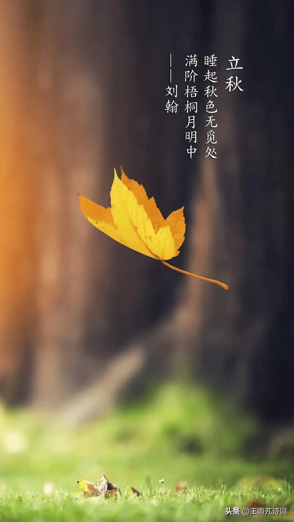 七律·秋风咋起