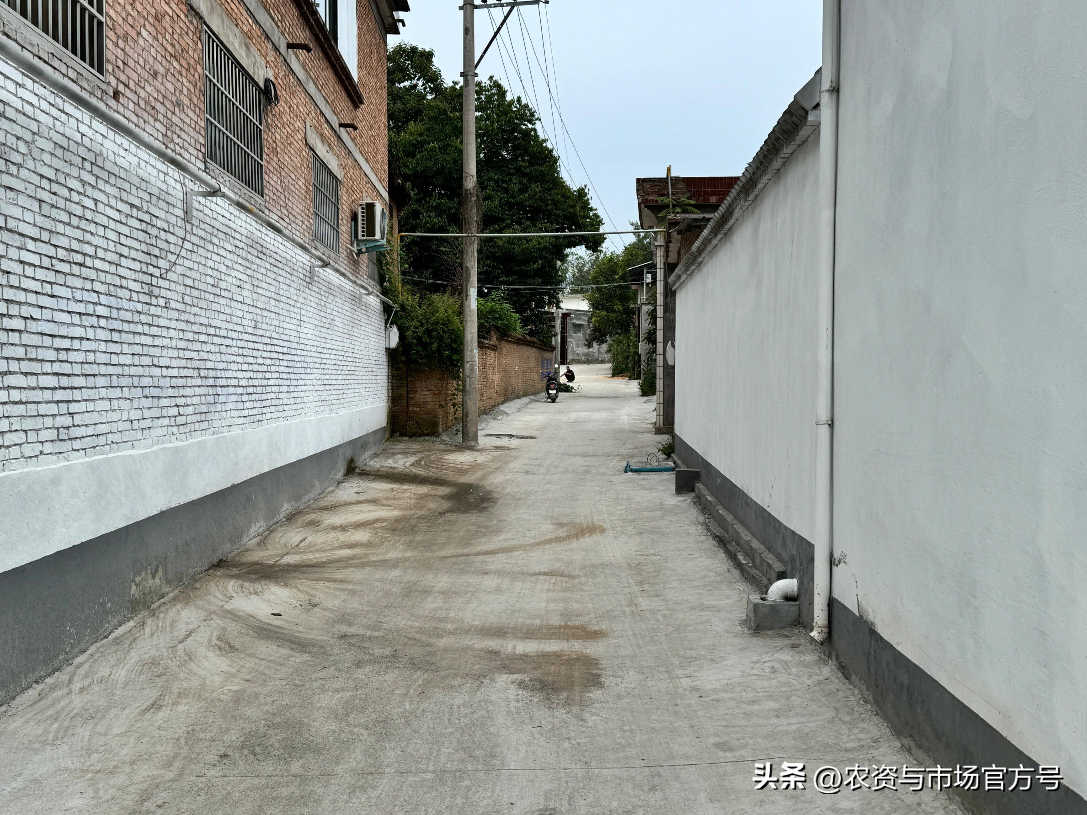 嵩县闫庄镇店上村:乡村振兴的璀璨明珠#总编走基层#嵩县正振兴