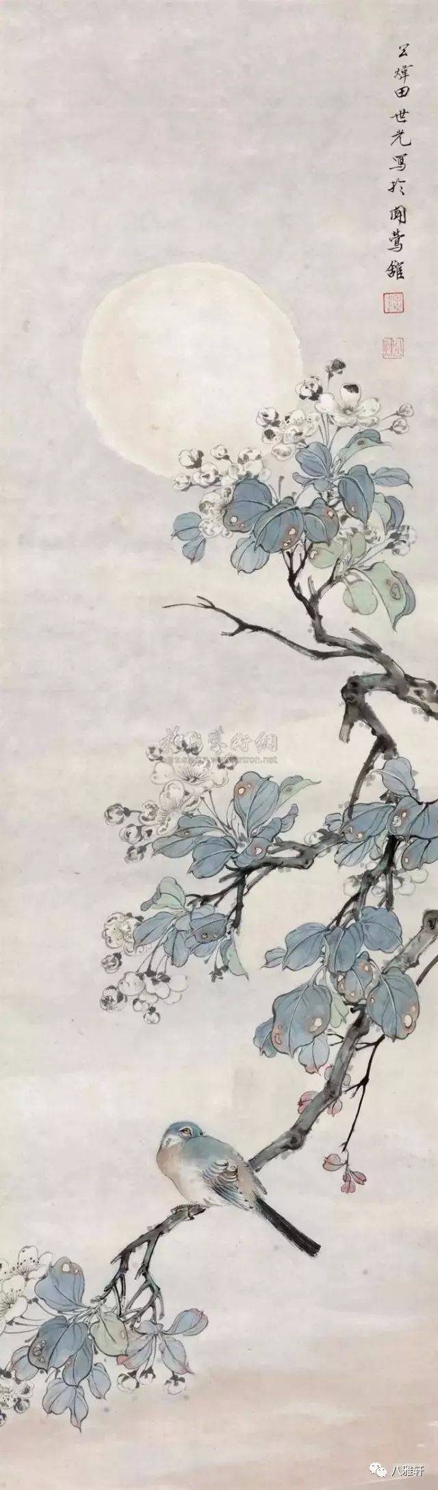 八雅轩丨【八雅丹青】田世光工笔花鸟大全,张张精彩!
