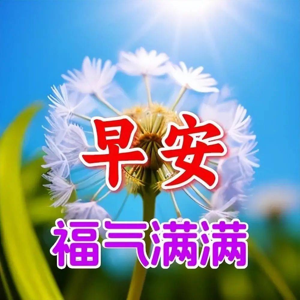 中老年表情包 早上好图片