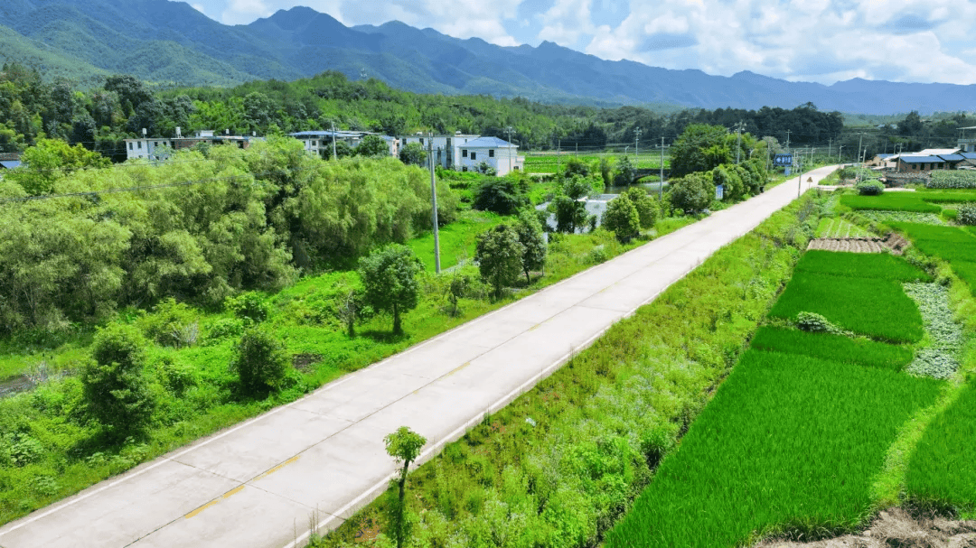 长汀"福路贷",惠及55万老区人民!