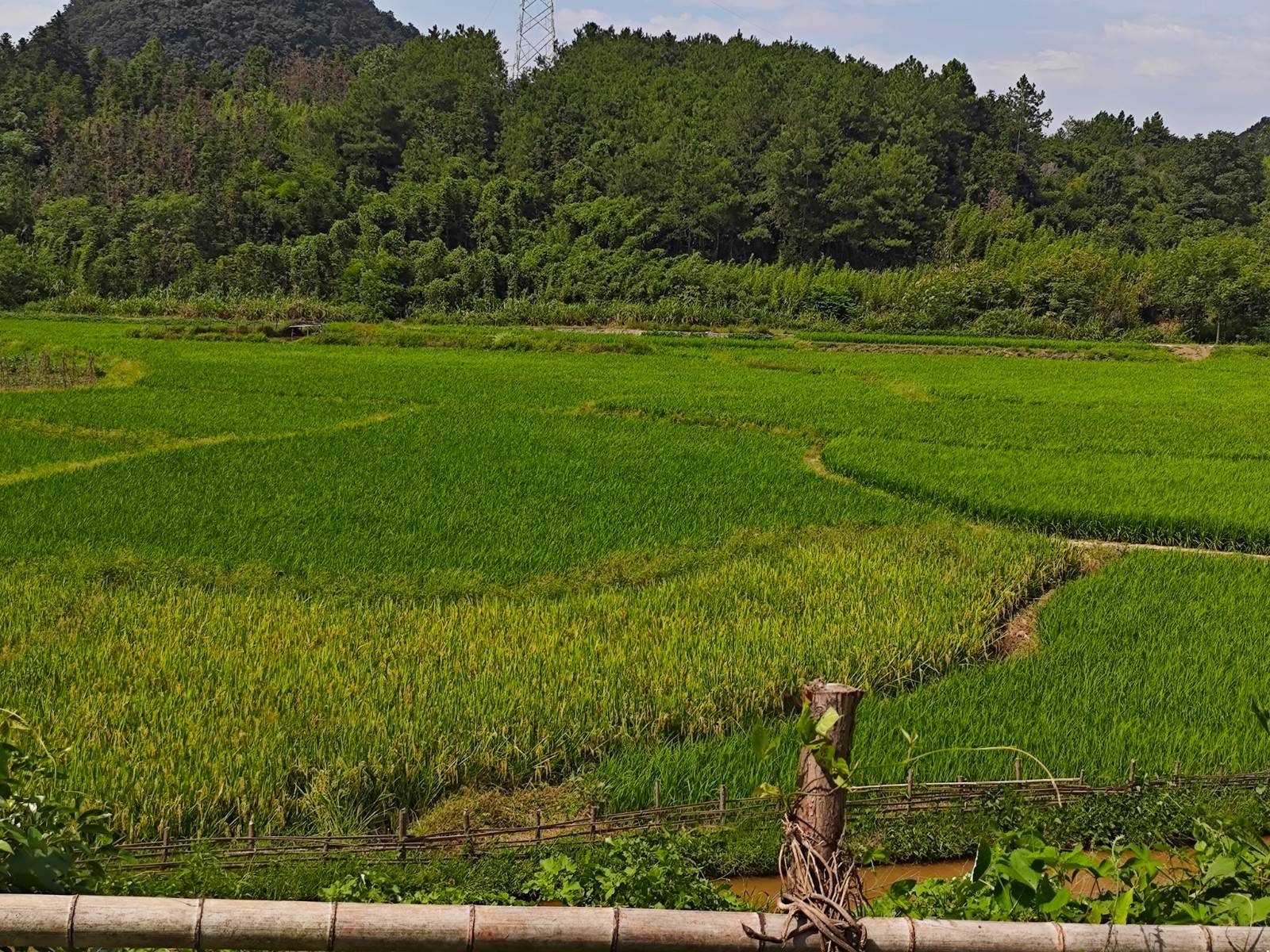 蓝山县祠堂圩打架图片