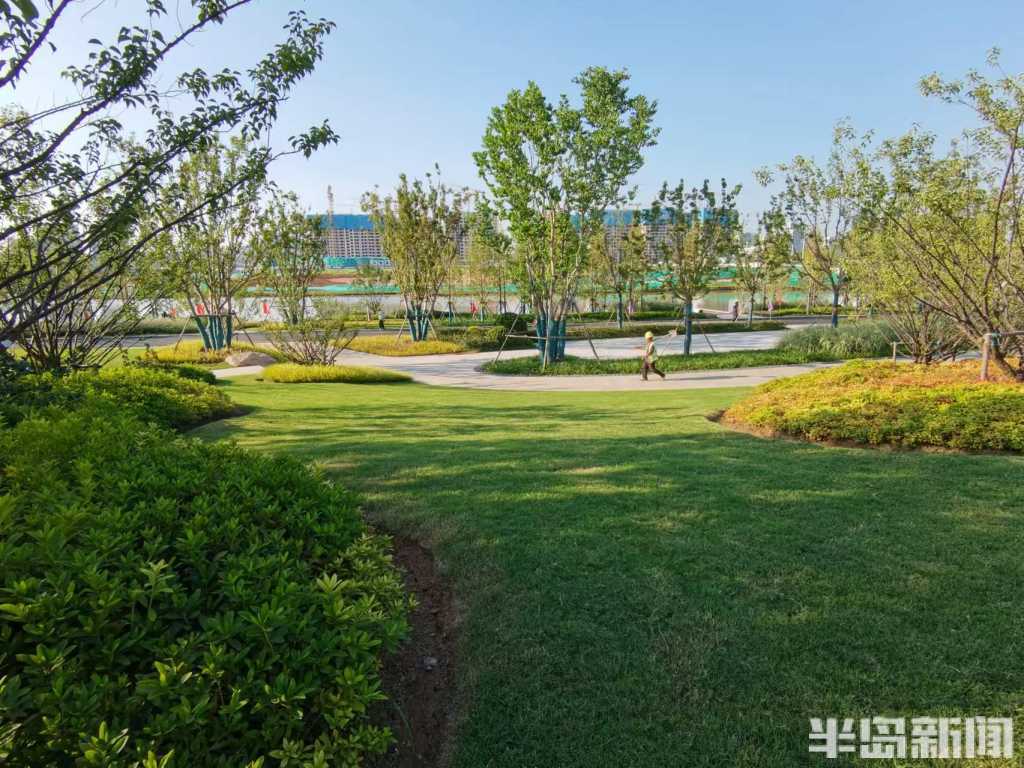 张村河生态公园长啥样?记者带你先看一看 ,9月1日起试开放