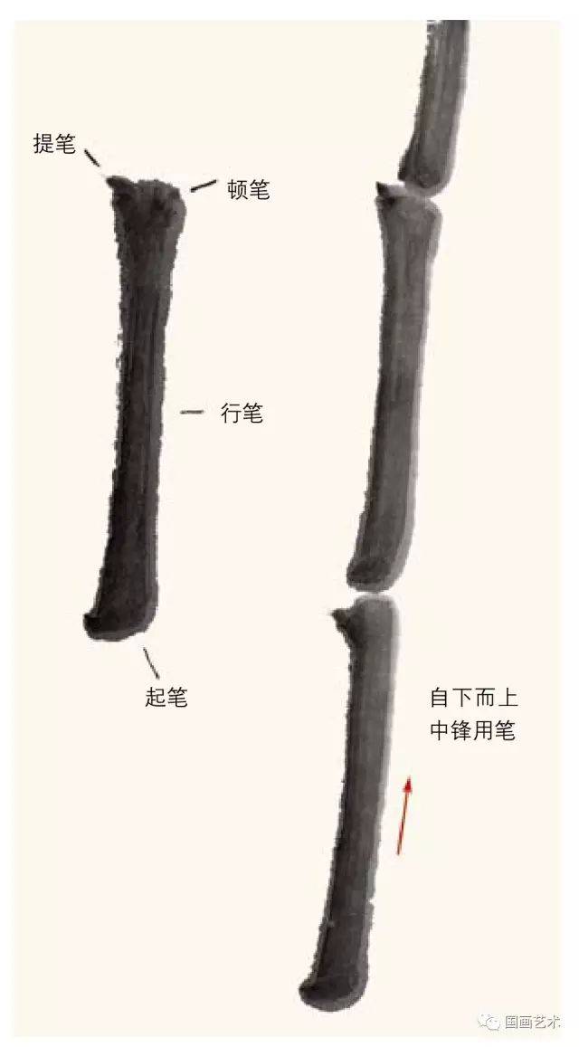 名家教你画竹_搜狐网