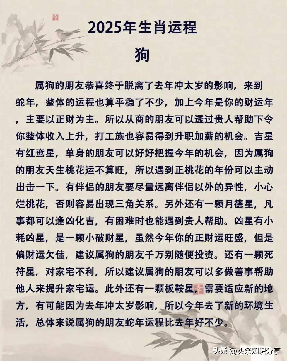 生肖运势2025猪李居明(李居明2021年属猪运势)