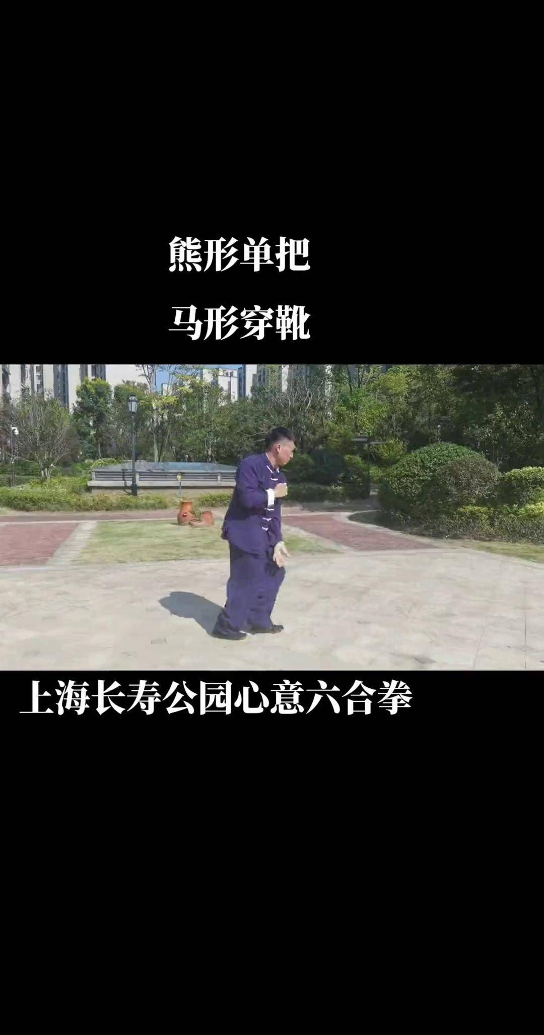 熊形单把,马形穿靴心意拳卢氏心意六合拳 上海长寿公园心意六合拳
