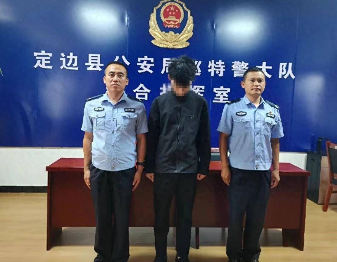 定边公安打掉"拉车门"盗窃团伙一个_定边县_徐某_案件