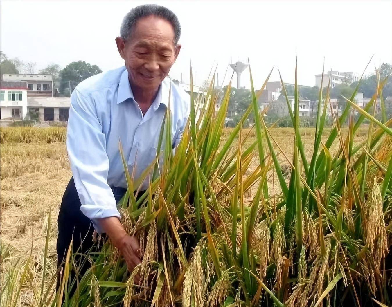 奉献一生只因摸豪车就被网暴,拯救14亿人的袁隆平却拯救不了自己