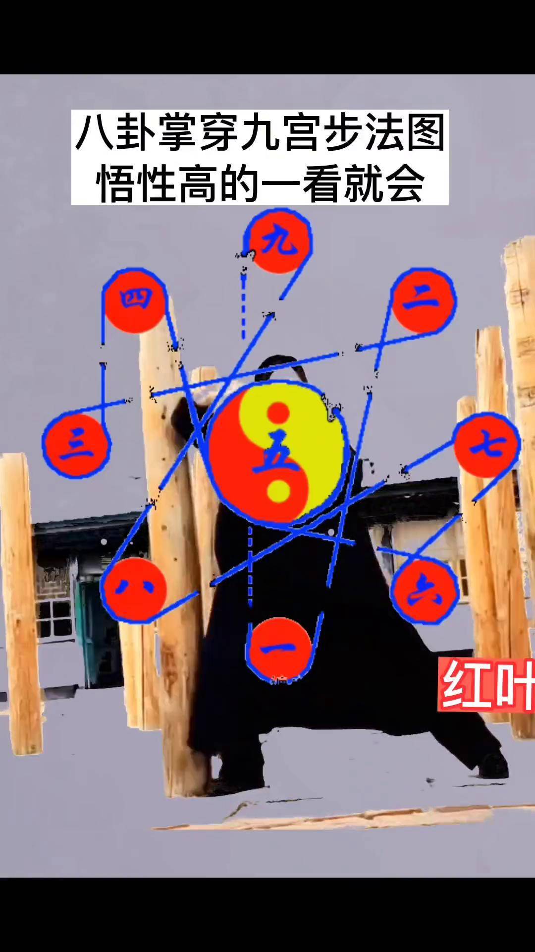 八卦掌穿九宫步法图,悟性高的一看就会,给大家发一个清晰的图出来,有