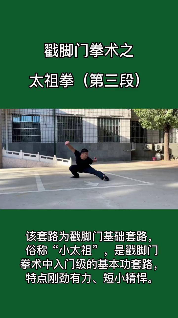 戳脚门拳术之太祖拳第三段戳脚 戳脚翻子拳 太祖拳 传统武术套路 武术