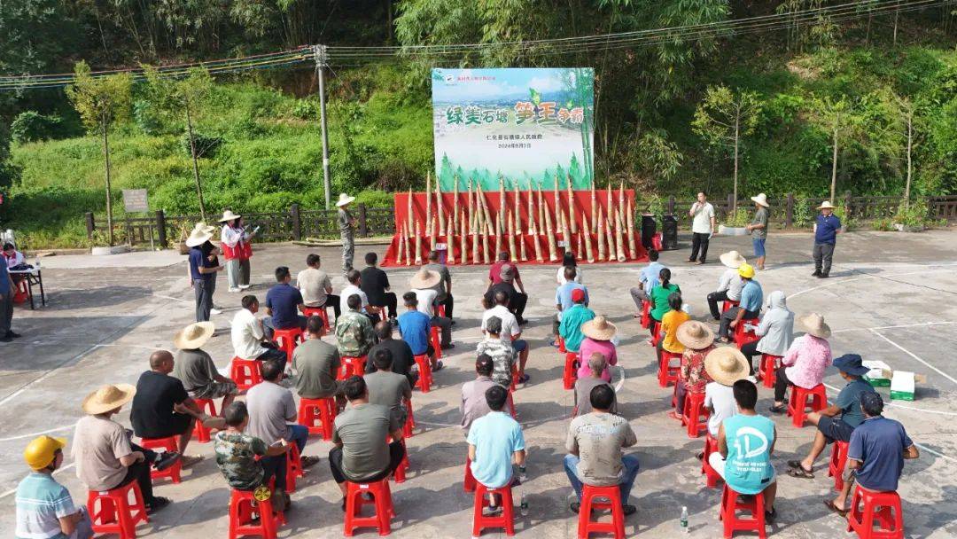 新兴勒竹笋王旅游基地图片