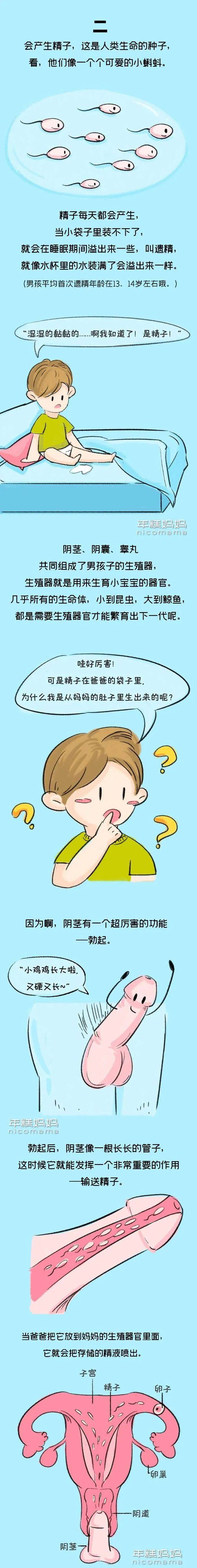 可以如何给孩子讲小鸡鸡这个部位的事