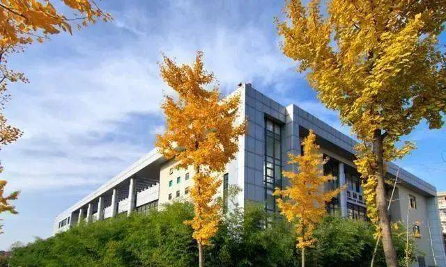 全國電子科技大學(xué)排名_中科大 華中科技大學(xué) 電子科技大學(xué)_中國科技大學(xué)排名